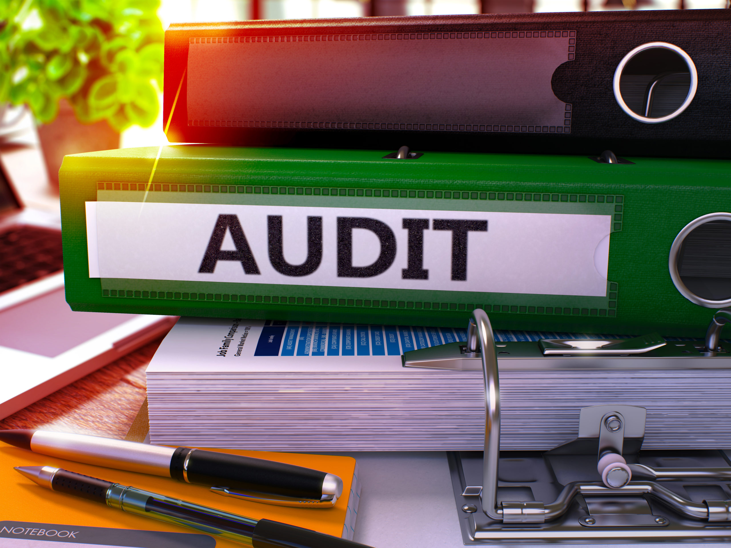Sustainability and ESG Reporting: The Crucial Role of Audits Sustainability and ESG Reporting: The Crucial Role of Audits