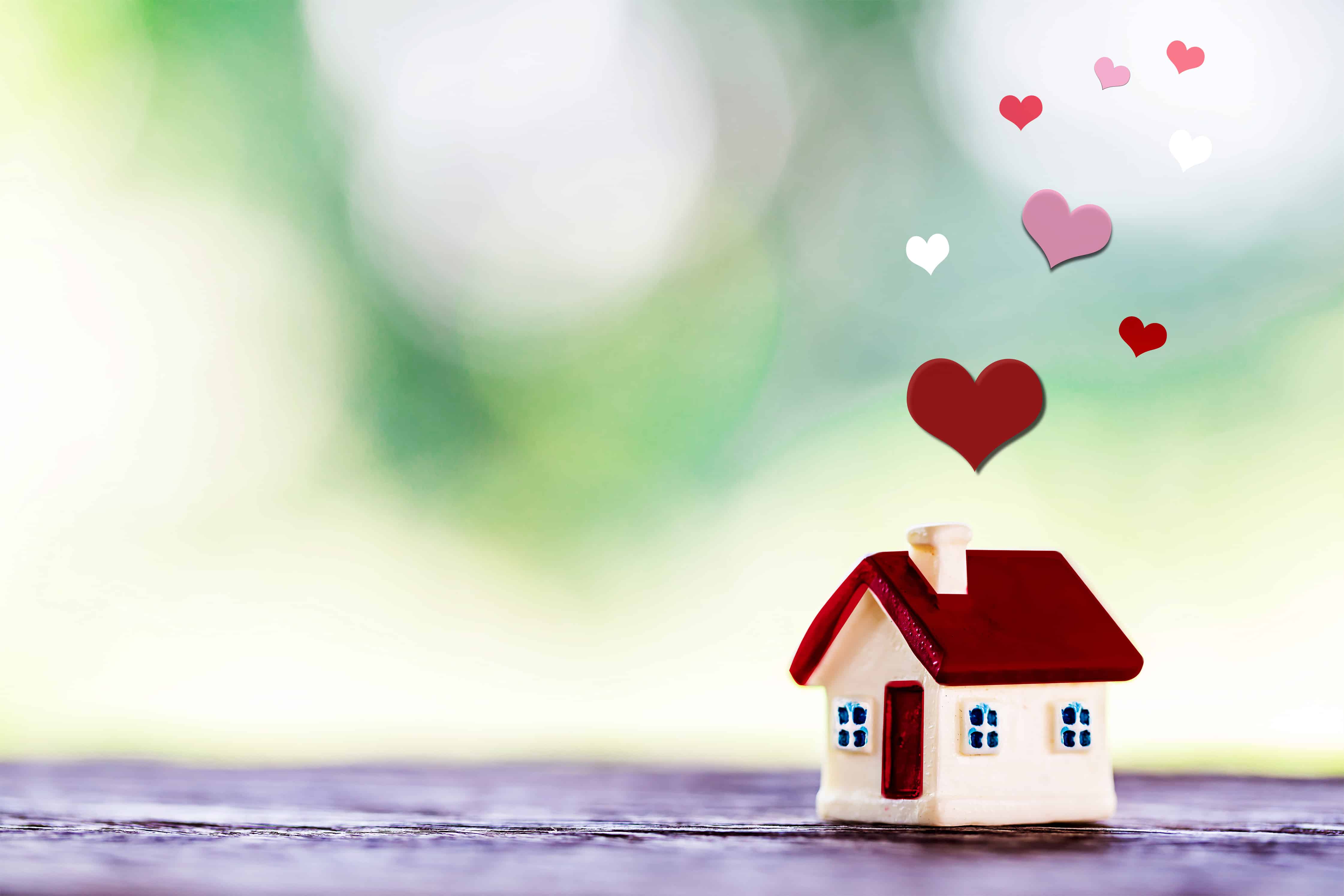 Falling in love with property don't go in blind! Our experts can help!